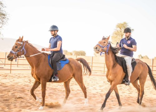 جولة ركوب الخيل في فتحية