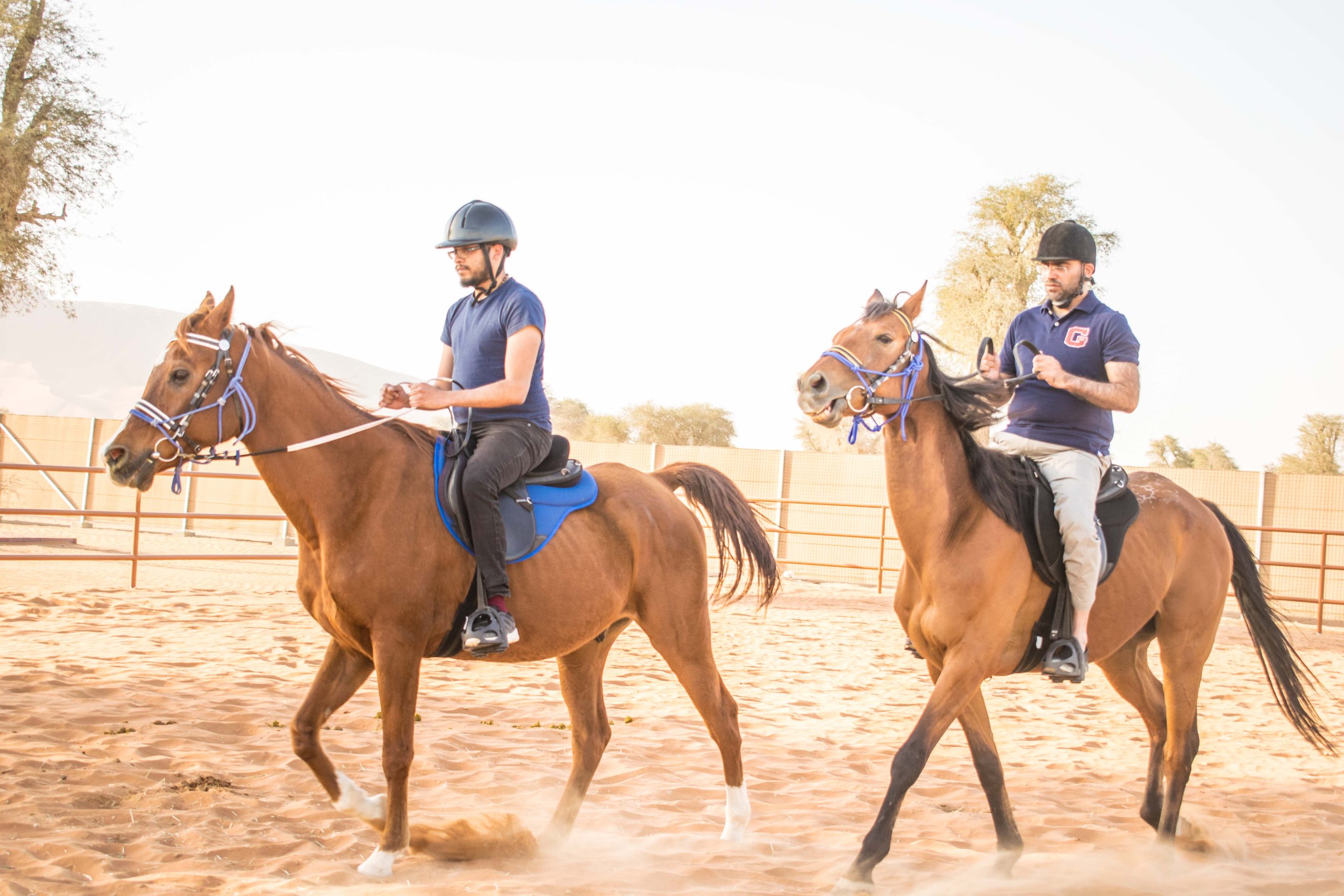 جولة ركوب الخيل في فتحية