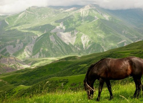 برنامج داغستان - روسيا ٥ ايام